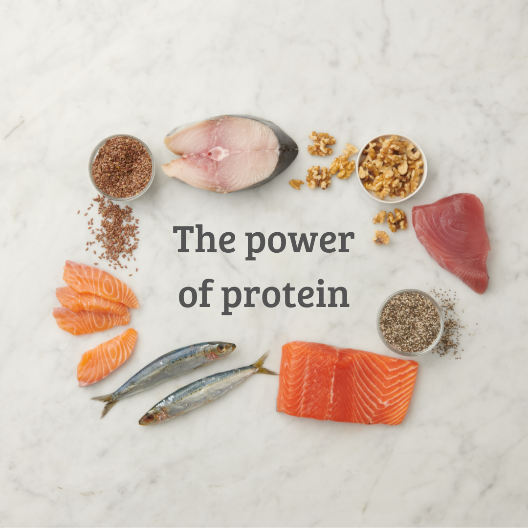 Protein